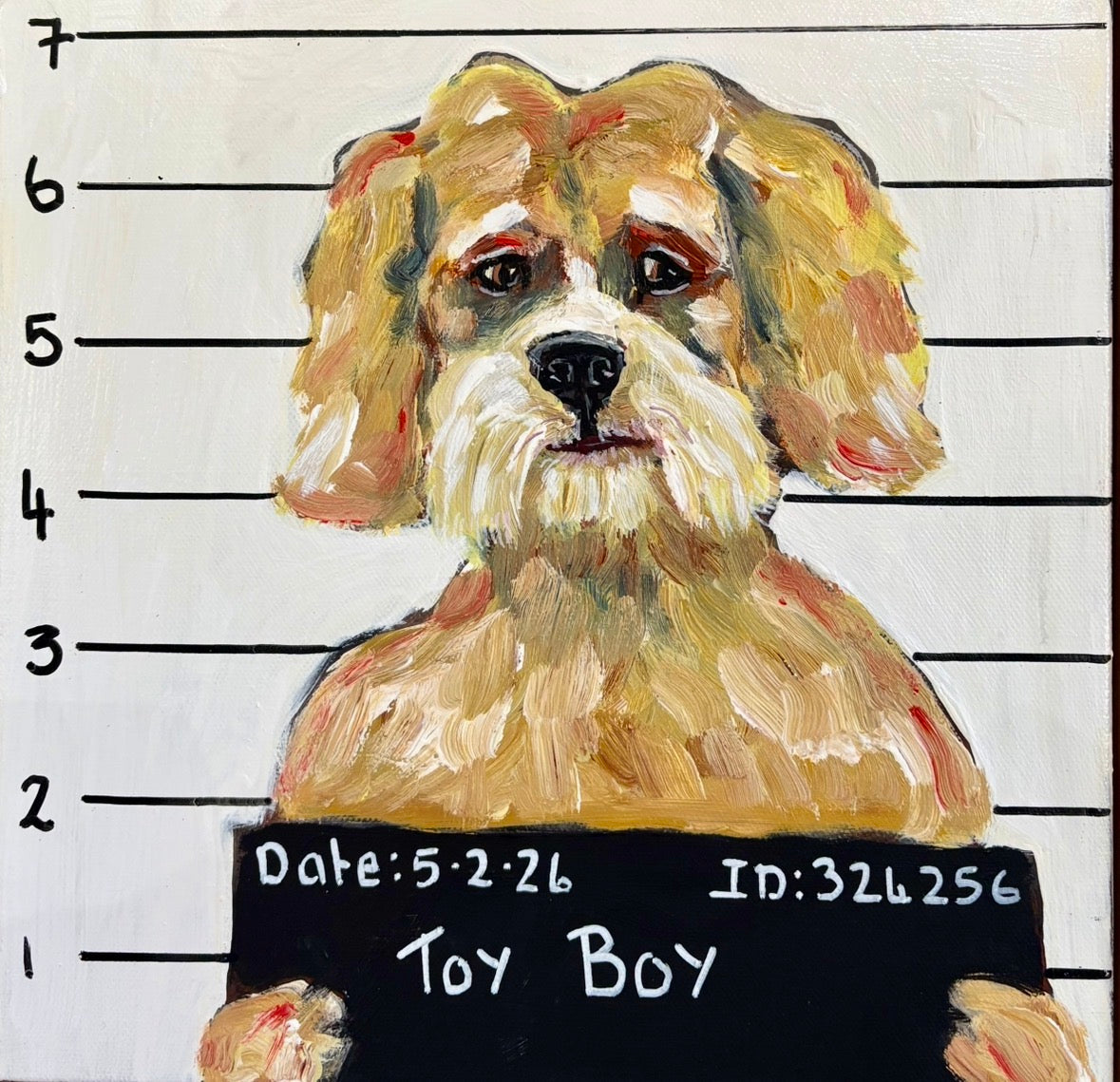 Karen Gray - Toy Boy