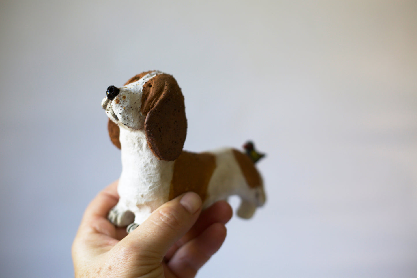Kalyanii Holden - Royson The Hound And The Finch