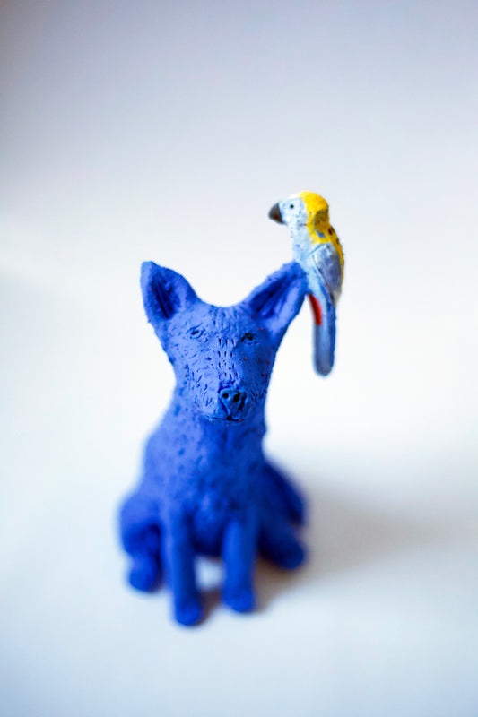 Kalyanii Holden - Birdie With A Pale- Headed Rosella