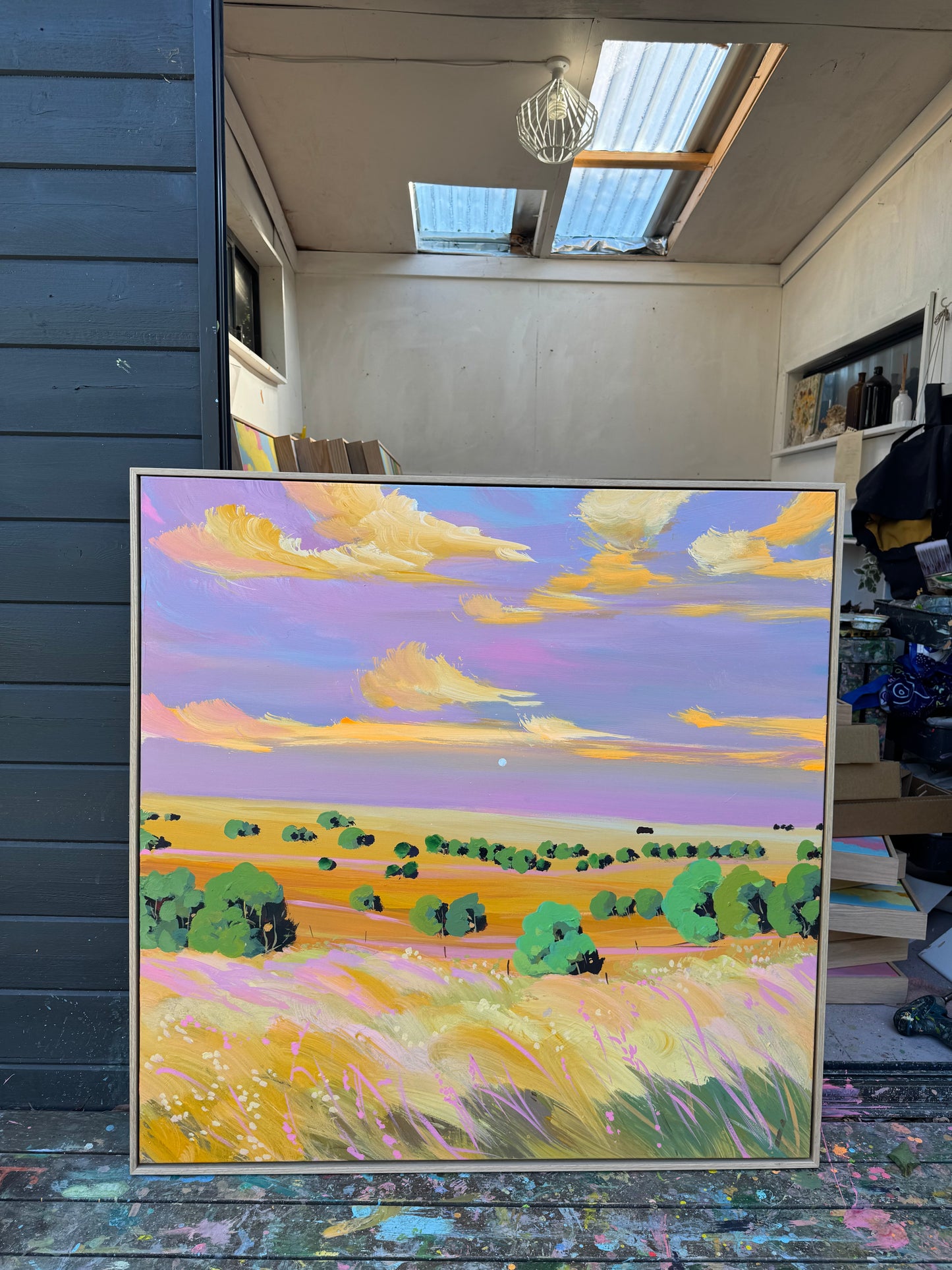 Ka Mo - Golden sunset
