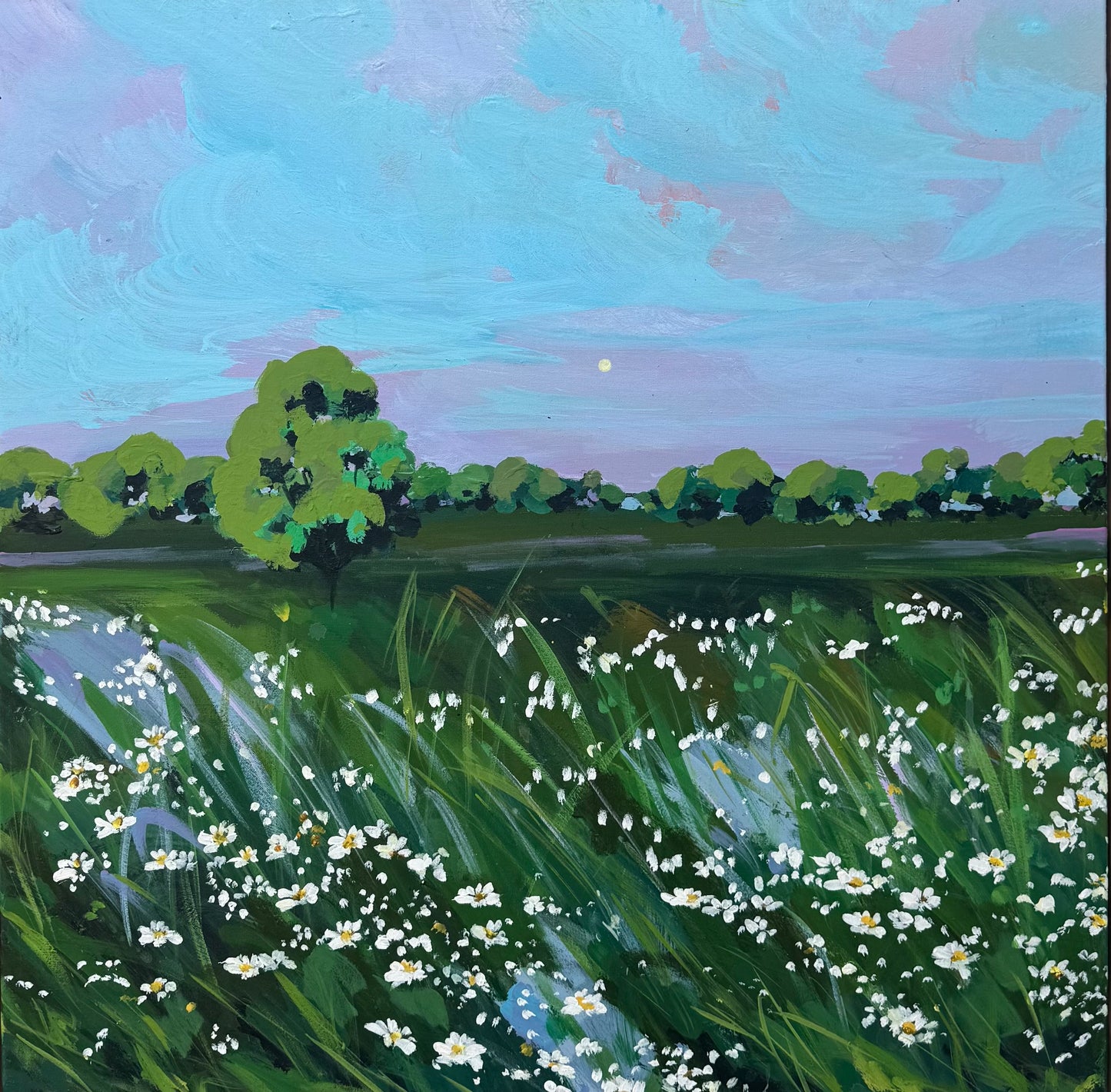 Ka Mo - Daisies lovers