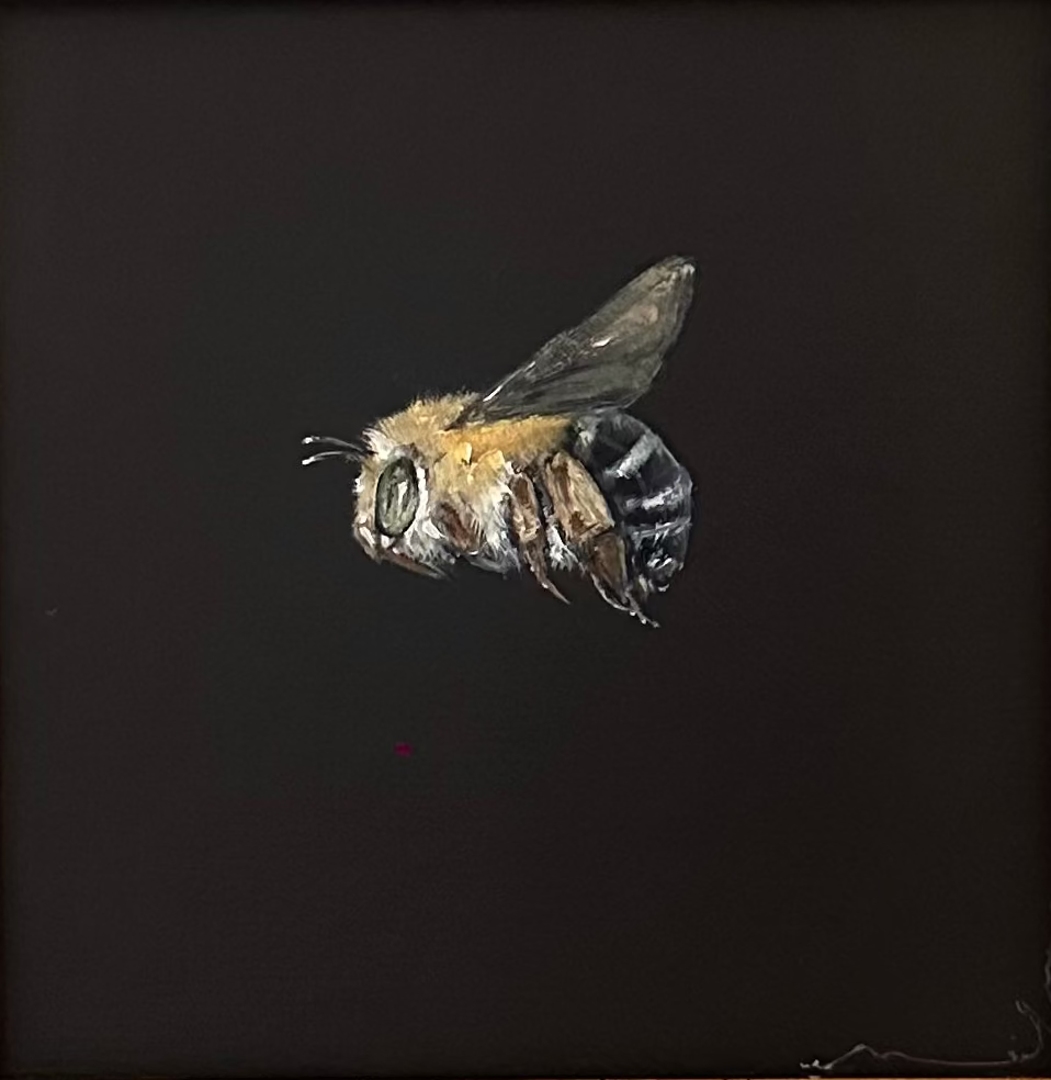 Monique Correy - Bluey