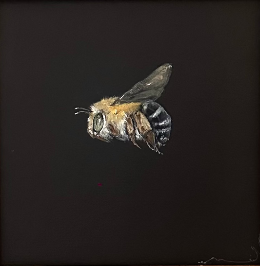 Monique Correy - Bluey
