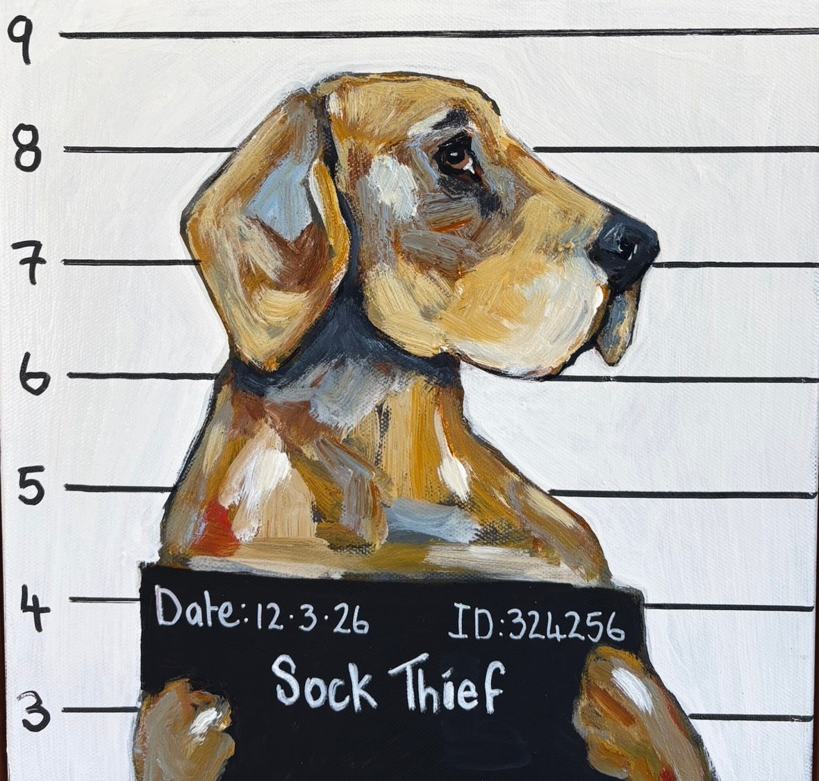 Karen Gray - Sock Thief