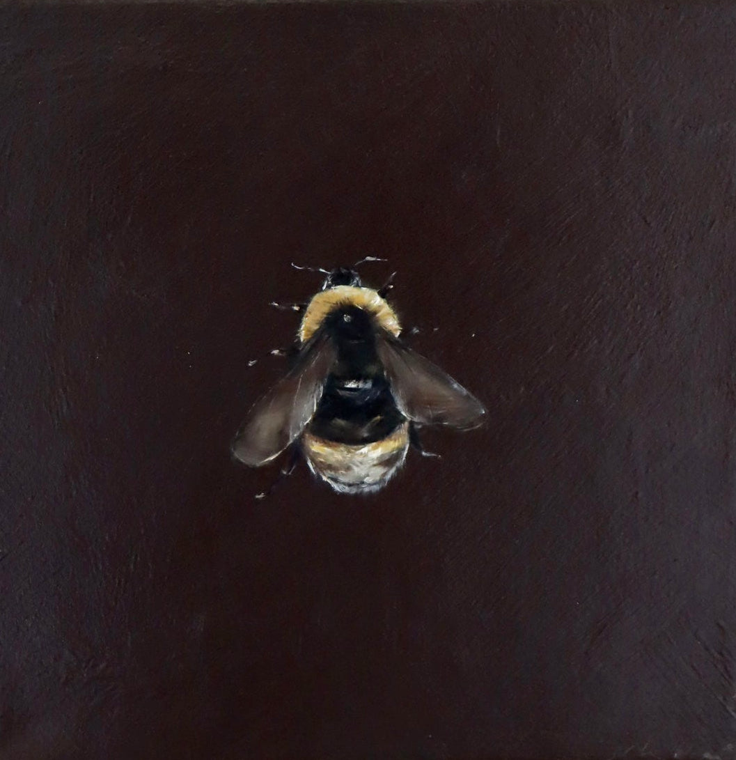 Monique Correy - Honey