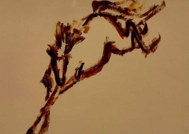 Ingrid Haughton  - White Bronc