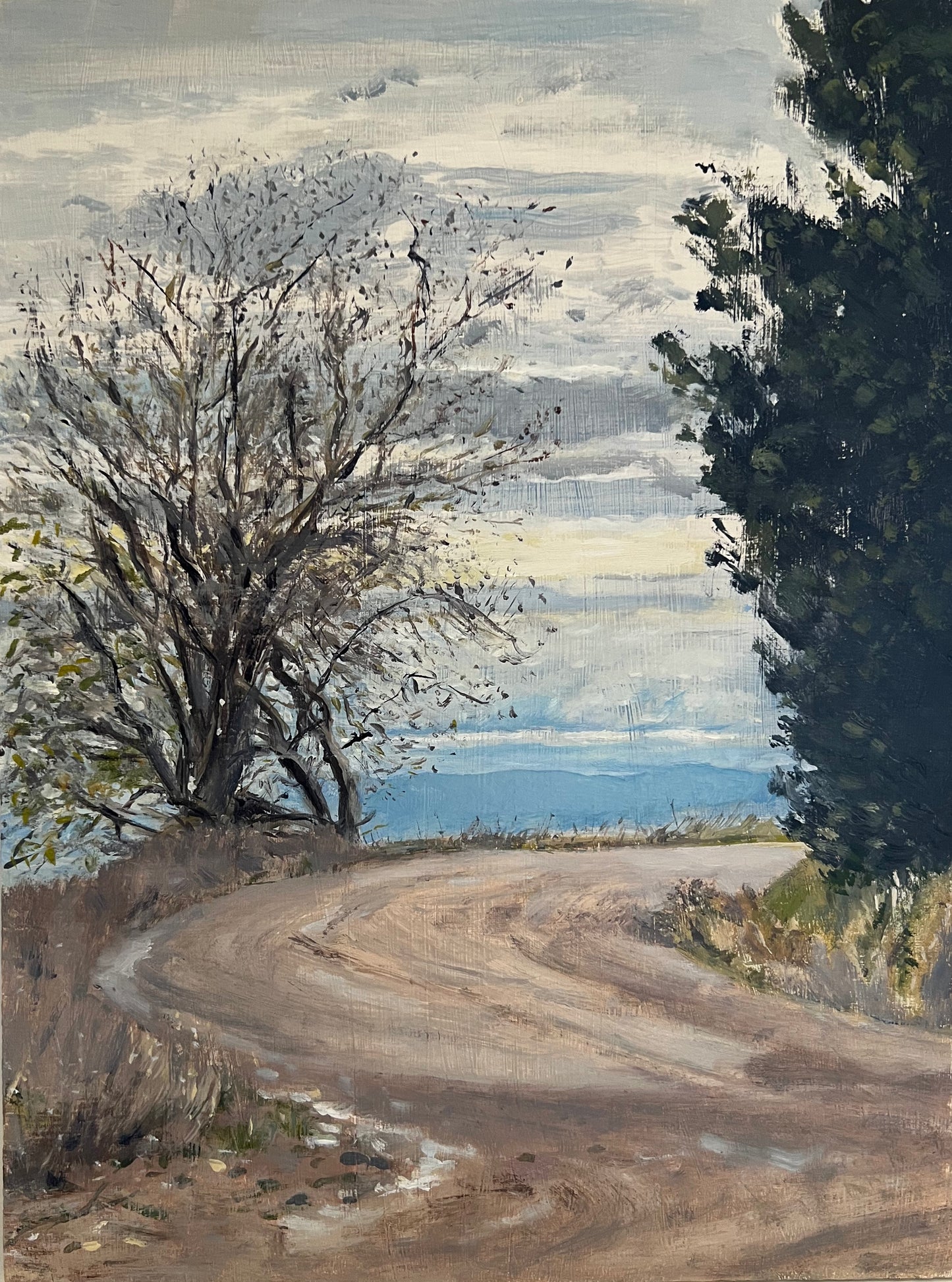 Simone Hale - Morning Walk Soldiers Road